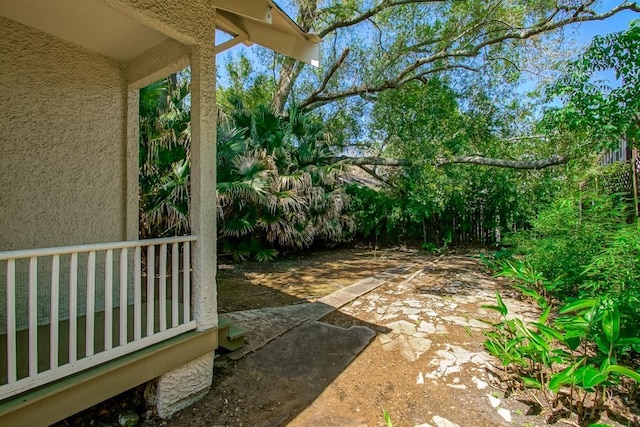 view of yard featuring a patio
