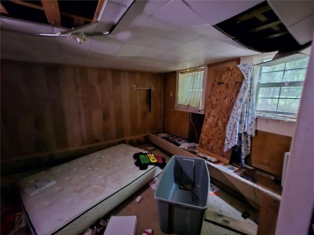 miscellaneous room with wood walls