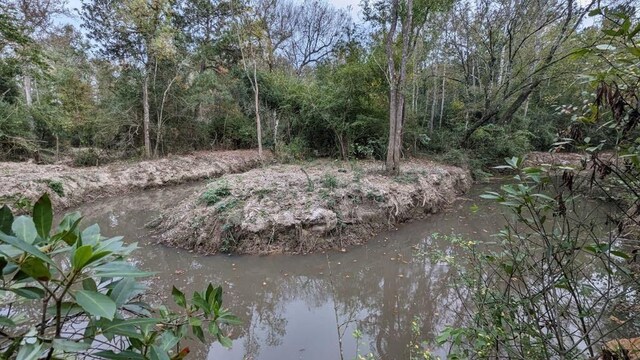 54050 Addison Rd, Independence, LA 70443 - photo 4