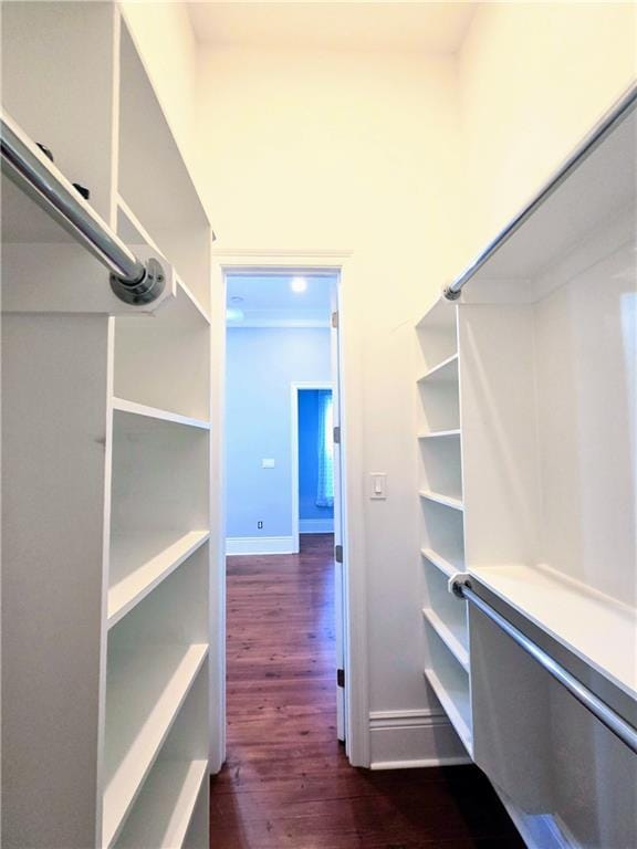 2540 Saint Ann St, New Orleans, LA 70119 - walk in closet with dark wood-style flooring
