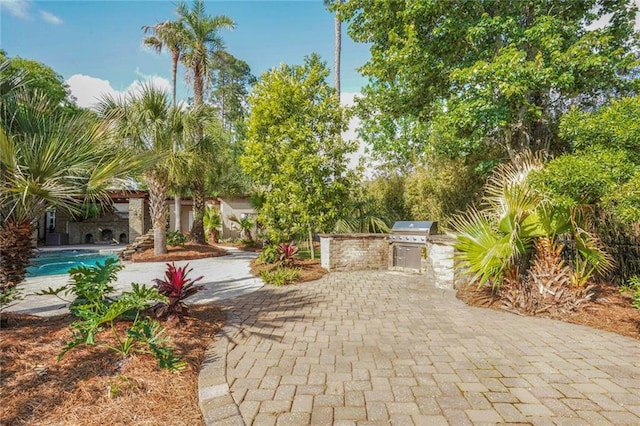717 Tunica Bnd, Covington, LA 70433 - view of home's community with an outdoor kitchen, a pool, and a patio