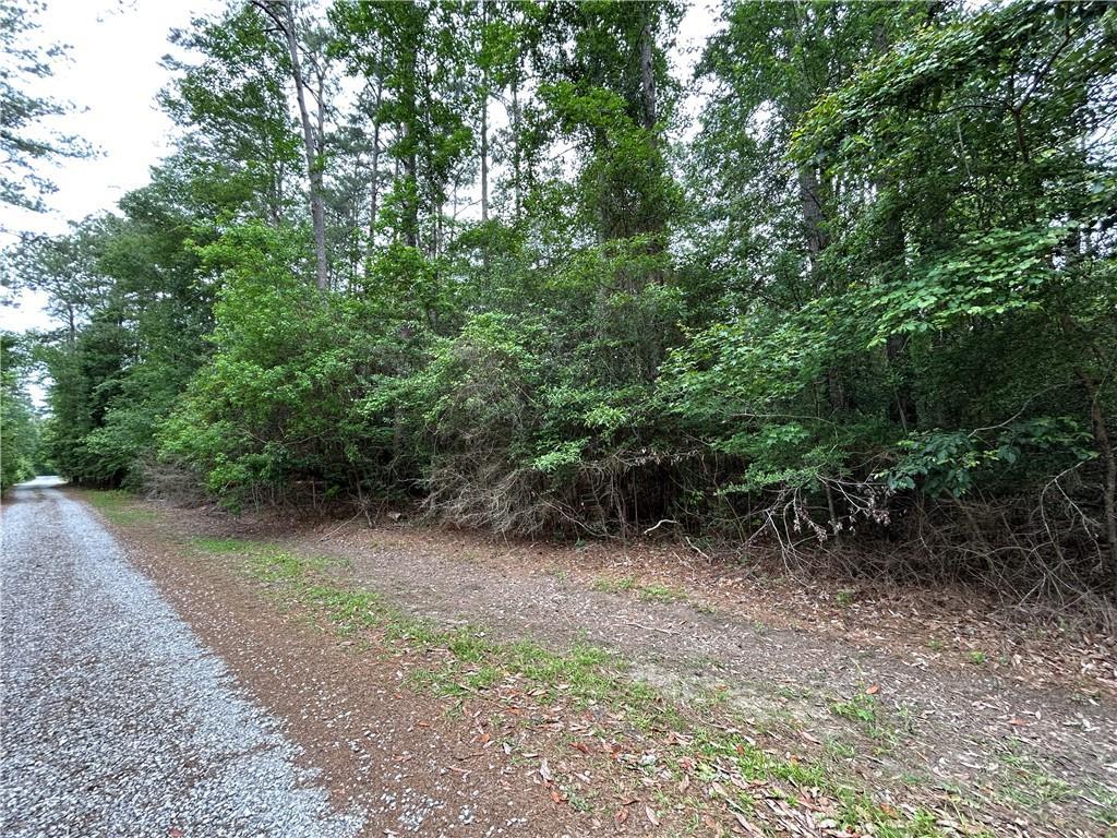 Firetower Rd, Mandeville, LA 70471