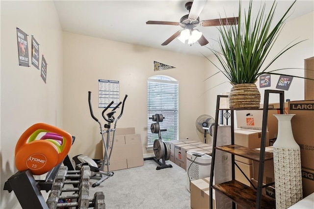 exercise room featuring ceiling fan and carpet flooring