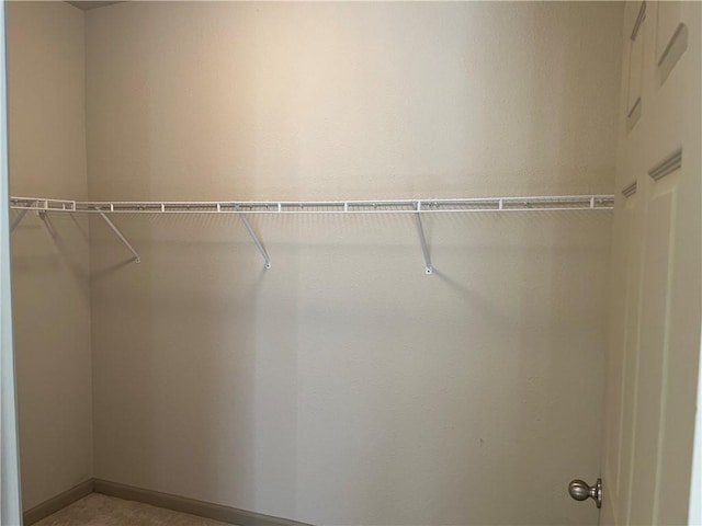 view of walk in closet
