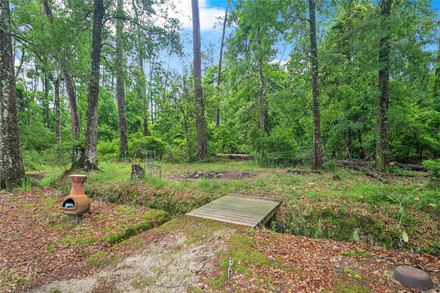 14356 Oak St, Tickfaw, LA 70466 - view of yard
