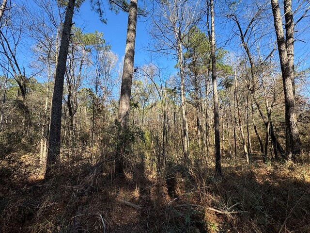 3144 Charlie Rhodus Rd, Magnolia, MS 39652