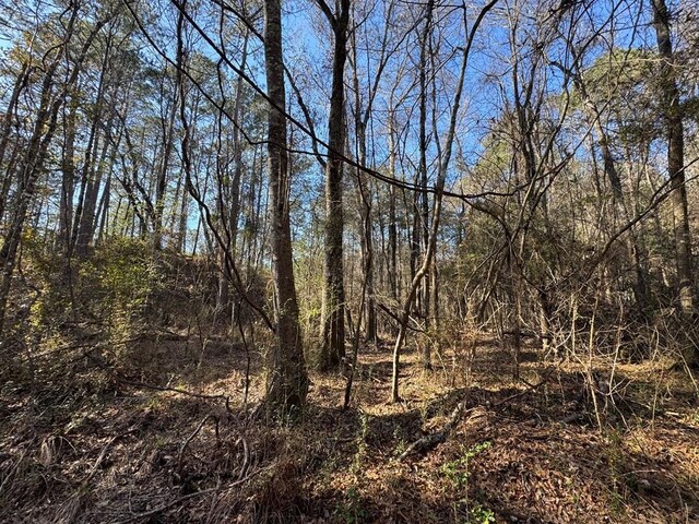 3144 Charlie Rhodus Rd, Magnolia, MS 39652