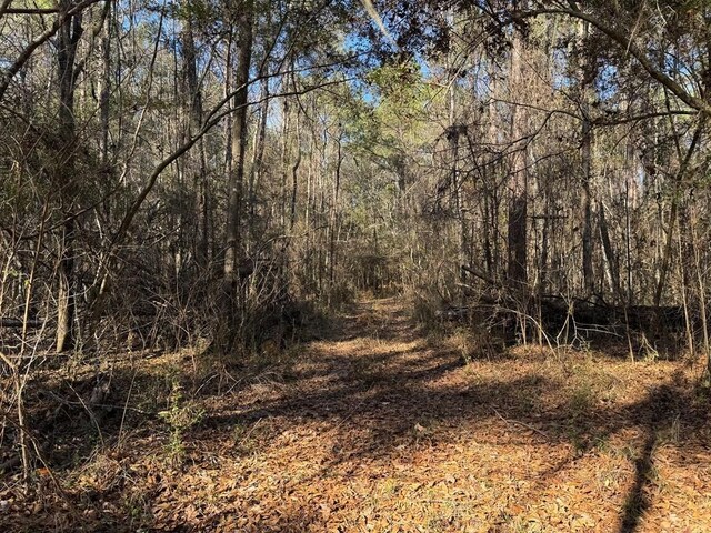3144 Charlie Rhodus Rd, Magnolia, MS 39652