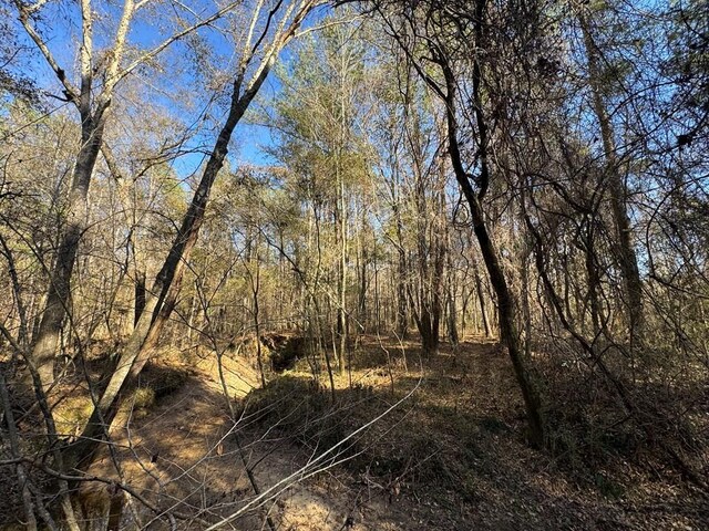 3144 Charlie Rhodus Rd, Magnolia, MS 39652