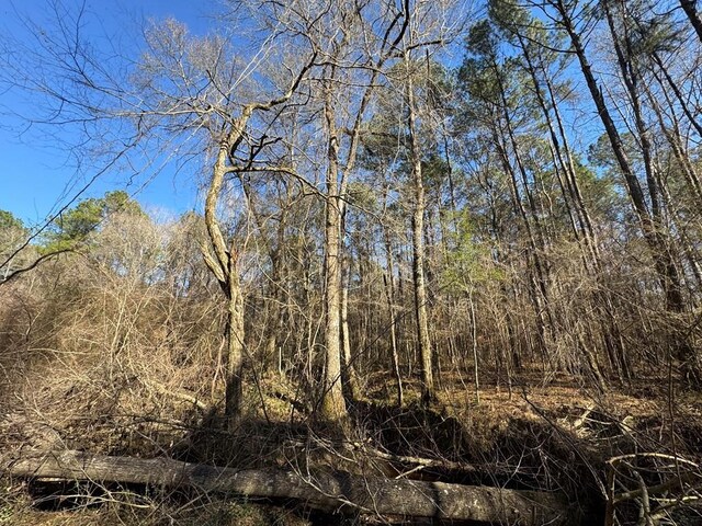 3144 Charlie Rhodus Rd, Magnolia, MS 39652