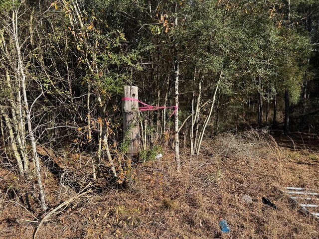 3144 Charlie Rhodus Rd, Magnolia, MS 39652