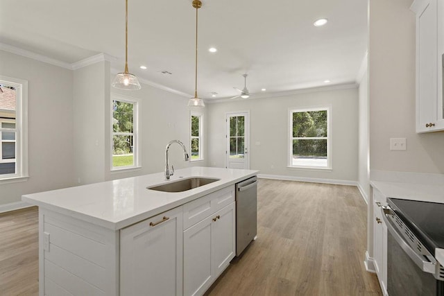 2441 Dupard St, Mandeville, LA 70448 - kitchen with a sink, stainless steel appliances, light wood-type flooring, crown molding, and a ceiling fan