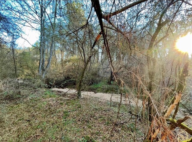 1185 Archie Boyd Rd, Jayess, MS 39641 - photo 3