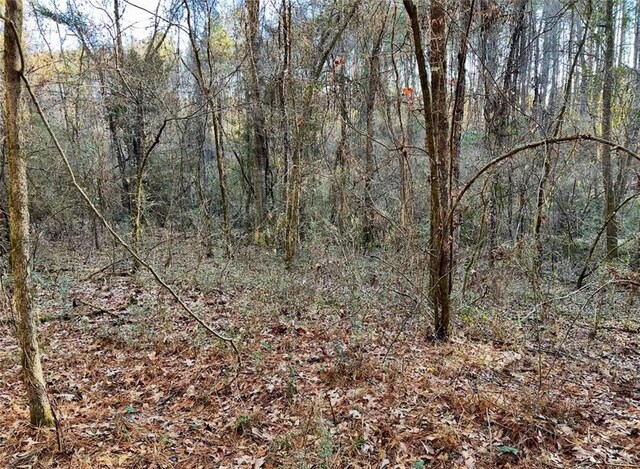 1185 Archie Boyd Rd, Jayess, MS 39641 - photo 4