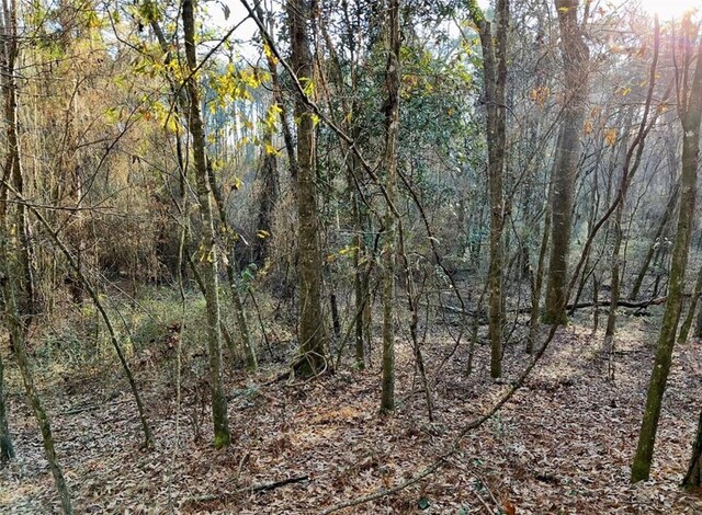 1185 Archie Boyd Rd, Jayess, MS 39641 - photo 5