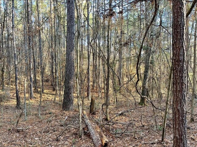1185 Archie Boyd Rd, Jayess, MS 39641 - photo 6