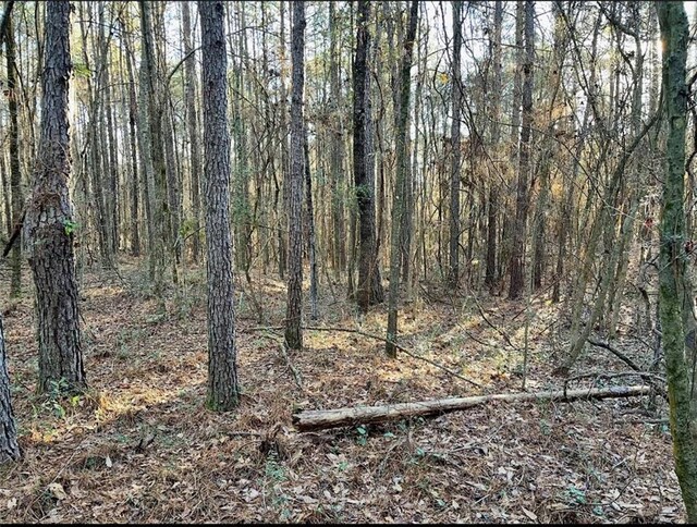 1185 Archie Boyd Rd, Jayess, MS 39641 - photo 7