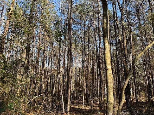 1185 Archie Boyd Rd, Jayess, MS 39641 - photo 14