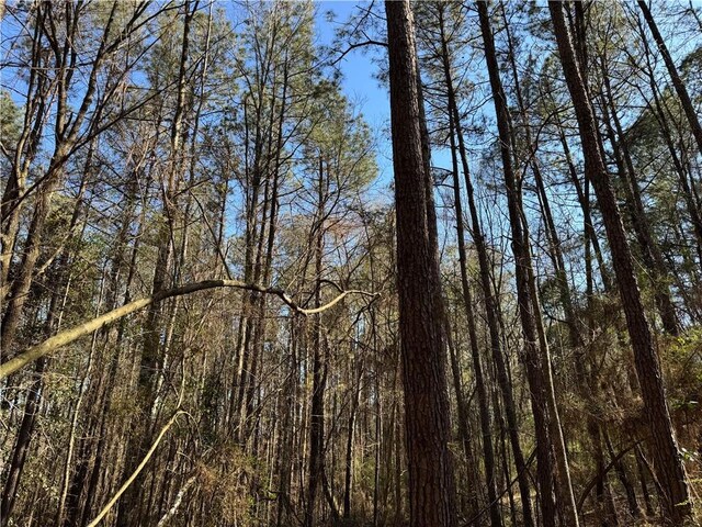 1185 Archie Boyd Rd, Jayess, MS 39641 - photo 15