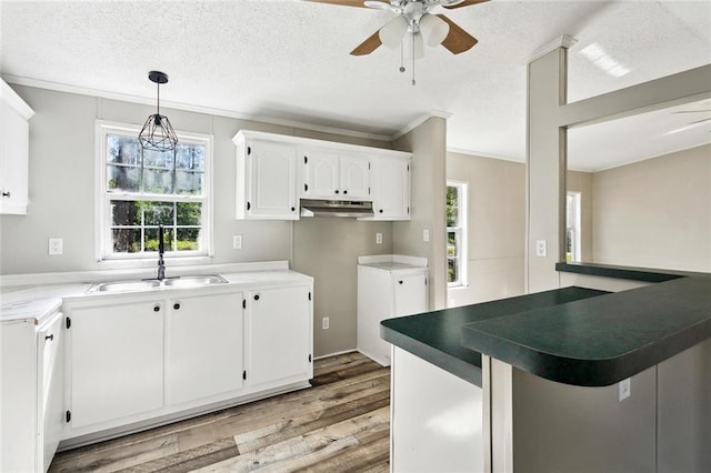 25259 Bunker St, Abita Springs, LA 70420 - kitchen with a sink, ceiling fan, light wood finished floors, ornamental molding, and white cabinets