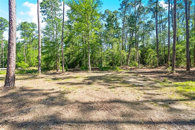 25259 Bunker St, Abita Springs, LA 70420 - view of undeveloped land