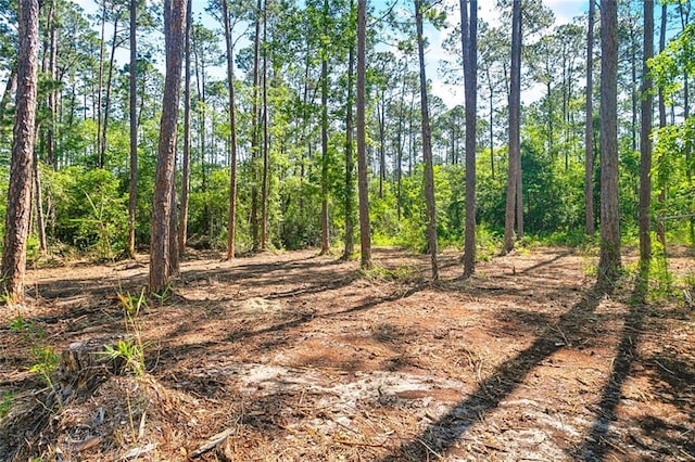 25259 Bunker St, Abita Springs, LA 70420 - view of local wilderness