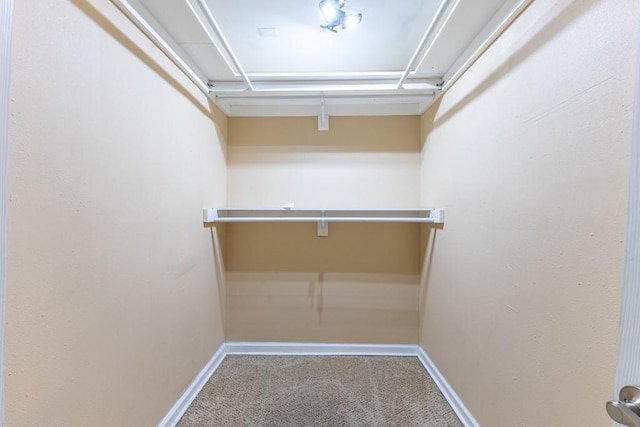 spacious closet with carpet flooring