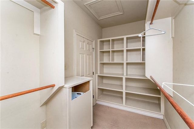 17181 Bridle Path, Hammond, LA 70403 - spacious closet with light carpet and attic access