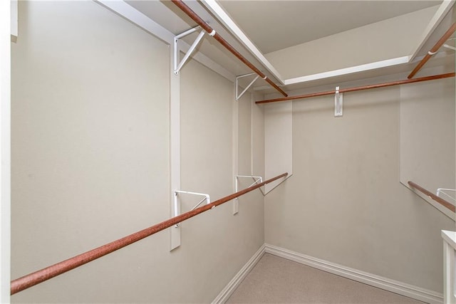 17181 Bridle Path, Hammond, LA 70403 - walk in closet with carpet floors
