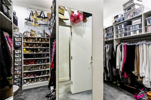 3805 3rd St, Metairie, LA 70002 - view of walk in closet
