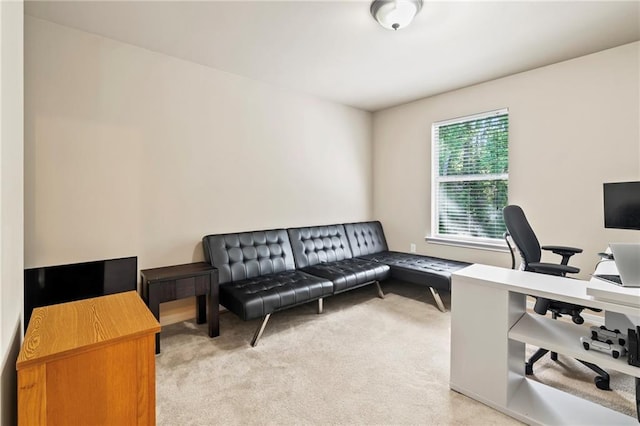 office area with light carpet