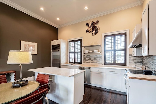 kitchen with stainless steel appliances, under cabinet range hood, a sink, ornamental molding, and light countertops