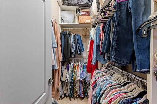 5805 Argonne Blvd, New Orleans, LA 70124 - view of spacious closet