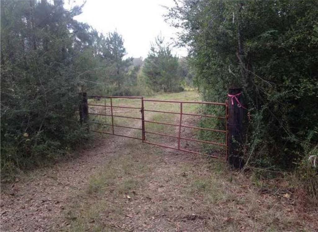 29433 Roscoe Dillon Rd, Franklinton, LA 70438 - photo 4