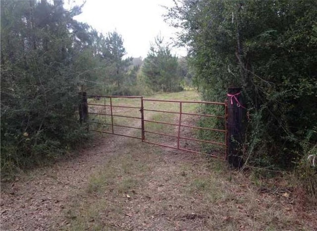29433 Roscoe Dillon Rd, Franklinton, LA 70438 - photo 4