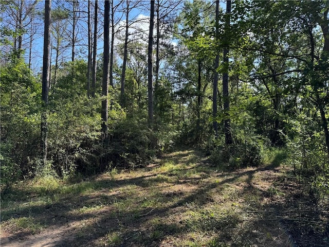 920A Auburn Dr, Bogue Chitto, MS 39629 - photo 2
