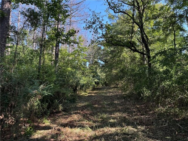 920A Auburn Dr, Bogue Chitto, MS 39629 - photo 3