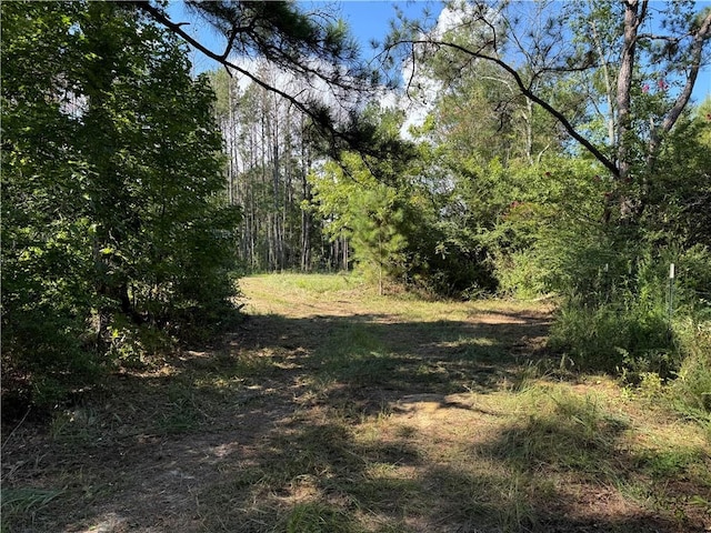 920A Auburn Dr, Bogue Chitto, MS 39629 - photo 4