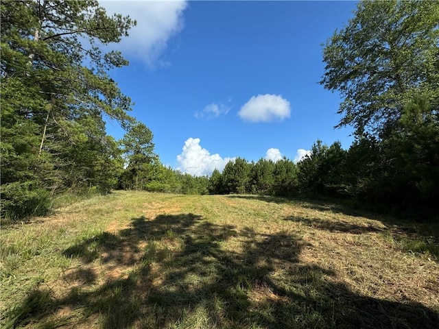 920A Auburn Dr, Bogue Chitto, MS 39629 - photo 5
