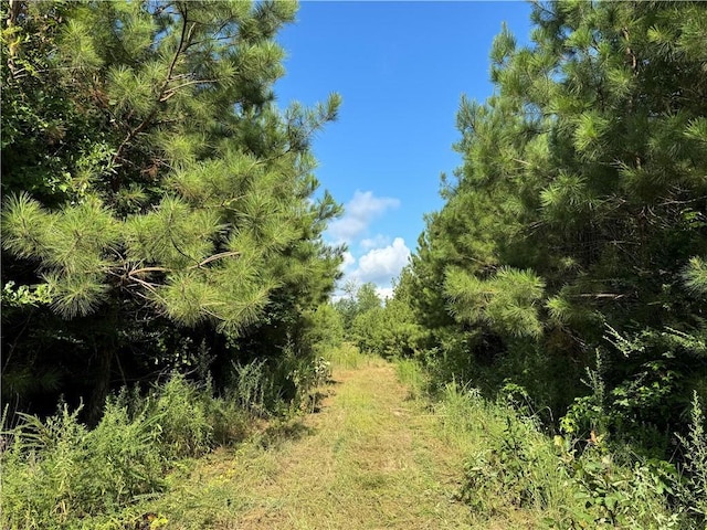 920A Auburn Dr, Bogue Chitto, MS 39629 - photo 7