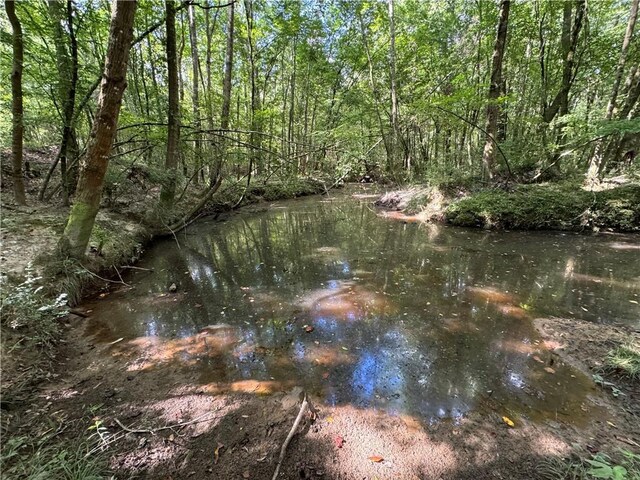 920A Auburn Dr, Bogue Chitto, MS 39629 - photo 12
