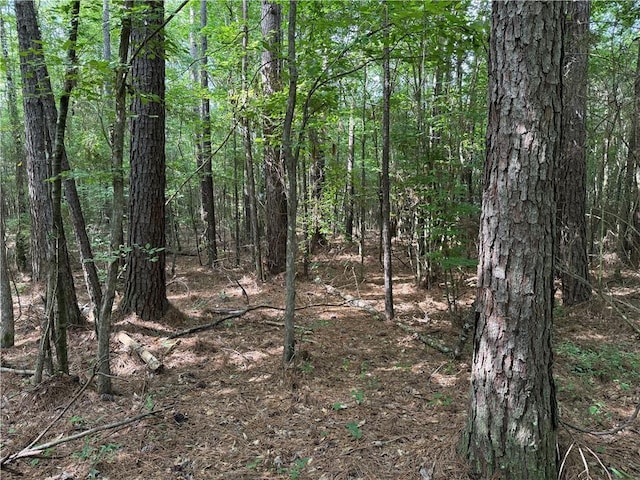 920A Auburn Dr, Bogue Chitto, MS 39629 - photo 15