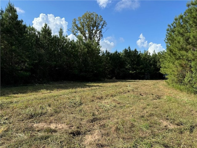 920A Auburn Dr, Bogue Chitto, MS 39629 - photo 16