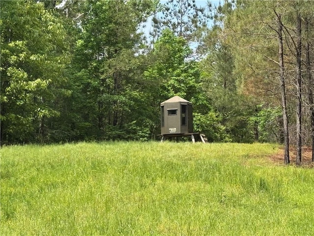 2048 Ashley Rd, Hazlehurst, MS 39083 - view of yard with an outbuilding, a storage shed, and a wooded view