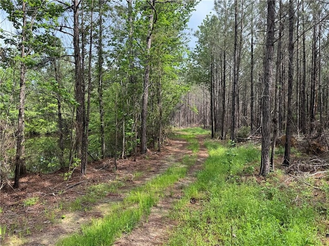 2048 Ashley Rd, Hazlehurst, MS 39083 - view of dirt / gravel road featuring a wooded view