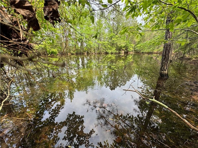 2048 Ashley Rd, Hazlehurst, MS 39083 - water view