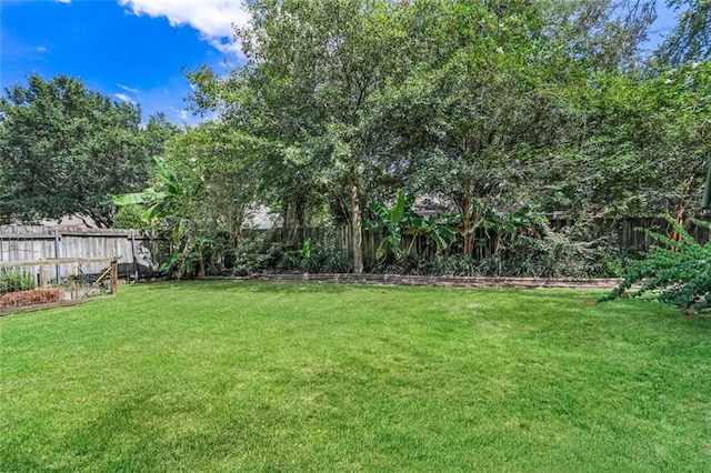 view of yard