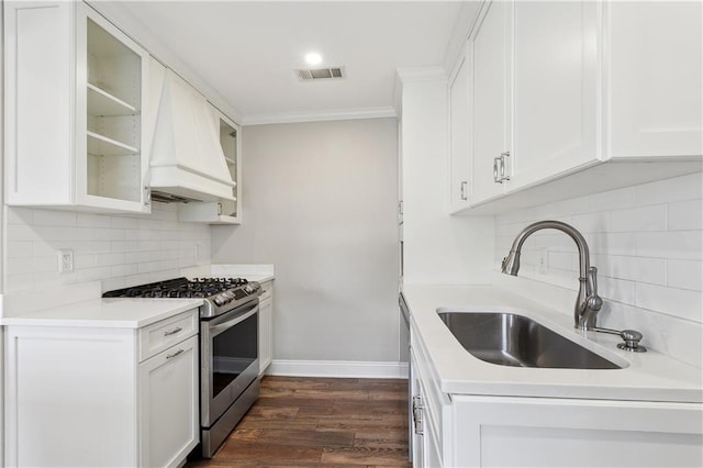 kitchen with stainless steel gas range oven, a sink, ornamental molding, tasteful backsplash, and custom exhaust hood