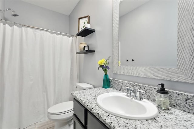 19916 Church Branch Rd, Springfield, LA 70462 - bathroom with toilet, vanity, and a shower with curtain