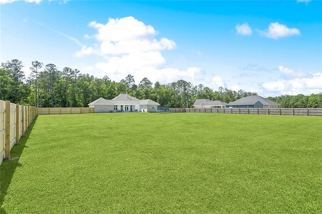 19916 Church Branch Rd, Springfield, LA 70462 - view of yard